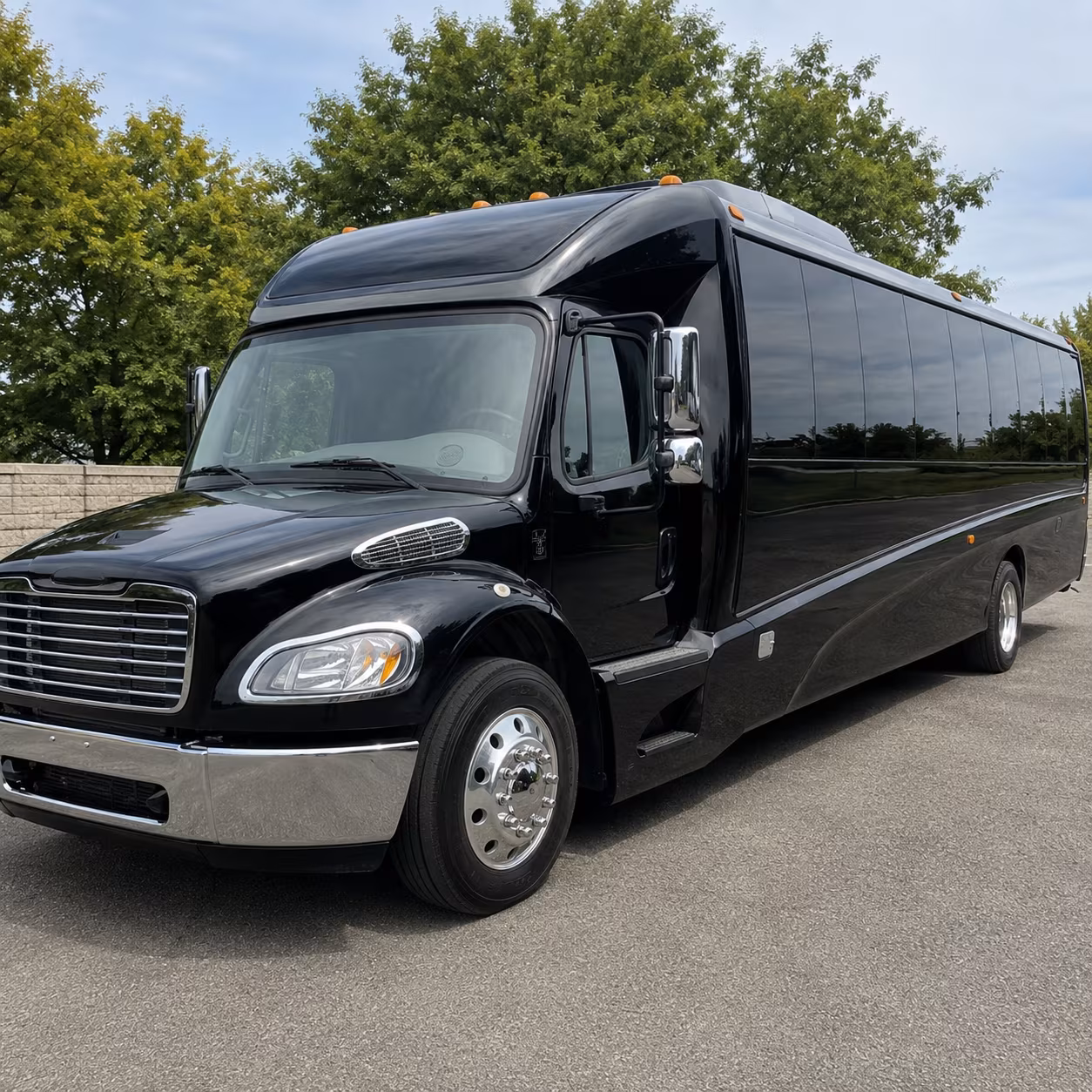 dallas 18 passenger minibus